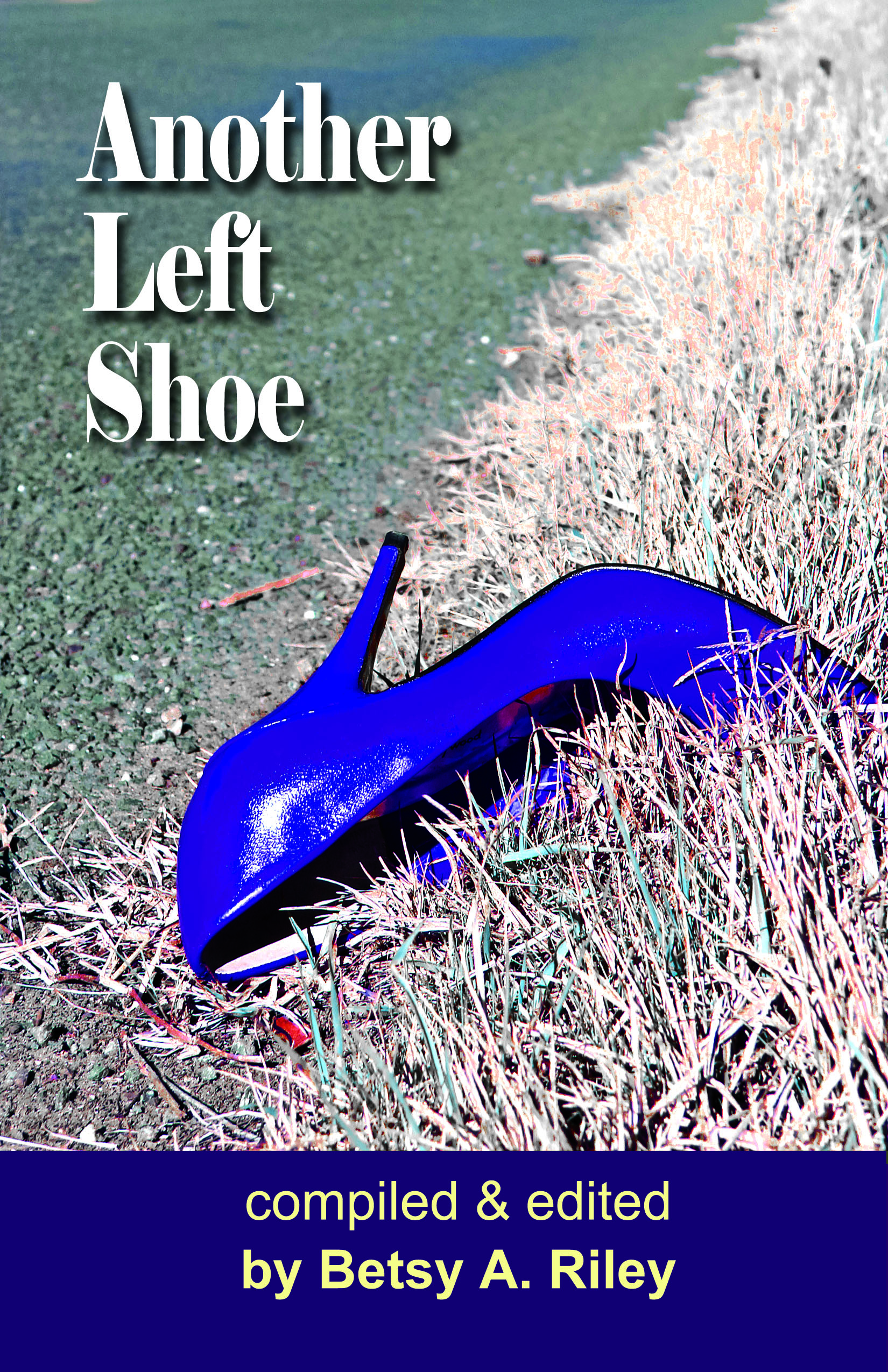Cover of Another Left Shoe